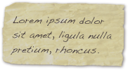 Lorem ipsum dolor sit amet, ligula nulla pretium, rhoncus.